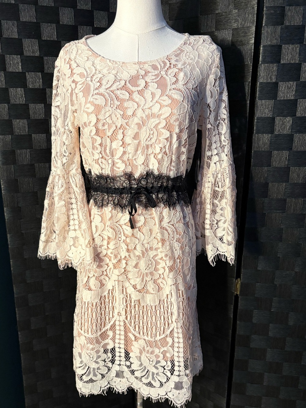 Black Tape_ Blush Lace Bell-Sleeve Dress with Black Waist Accent
